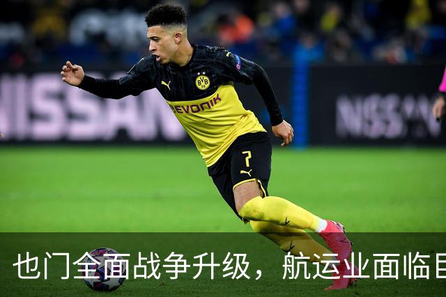 也门全面战争升级，航运业面临巨额成本危机